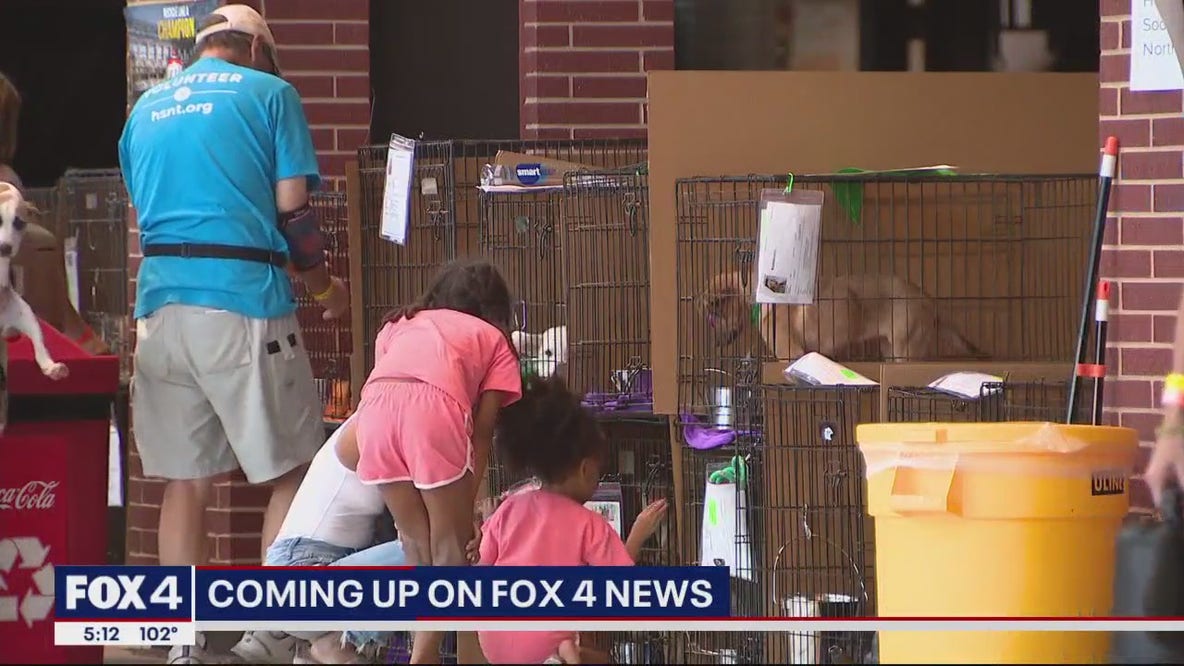 Mega pet adoption event held at Globe Life Field